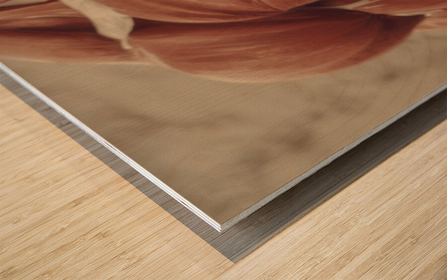 2465363 :: Wood Print