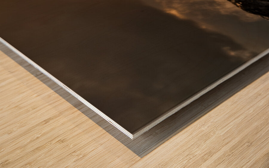 2465401 :: Wood Print