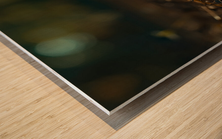2465405 :: Wood Print
