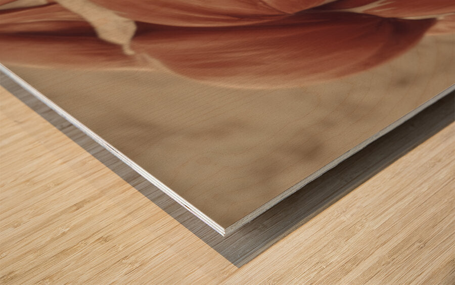 2465409 :: Wood Print
