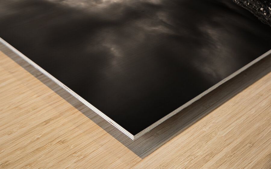 2465412 :: Wood Print