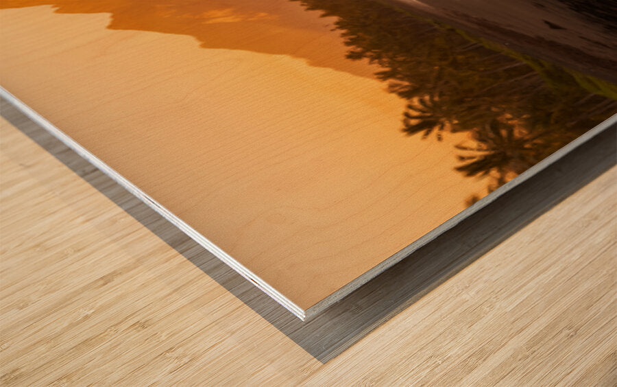 2465413 :: Wood Print