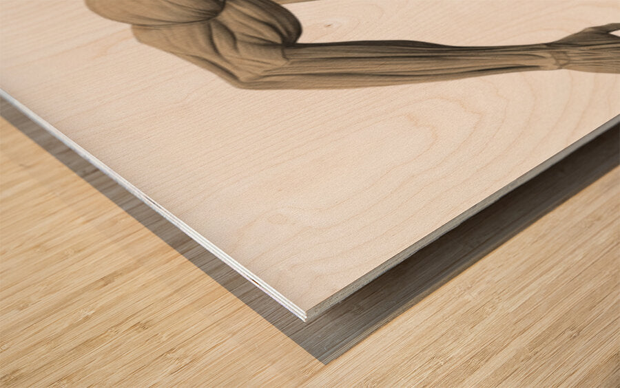 2465577 :: Wood Print