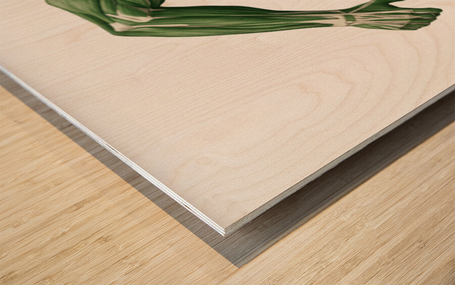 2465578 :: Wood Print
