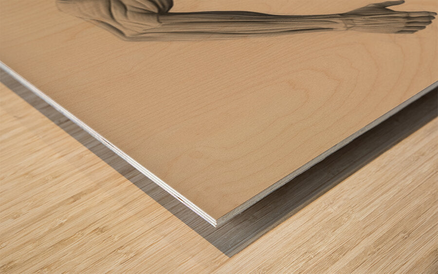 2465580 :: Wood Print