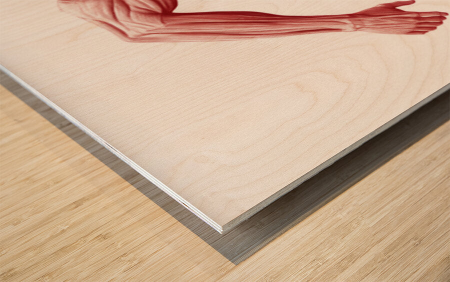 2465583 :: Wood Print