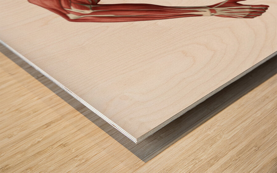 2465584 :: Wood Print