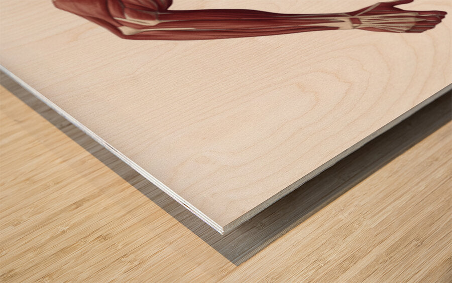 2465585 :: Wood Print