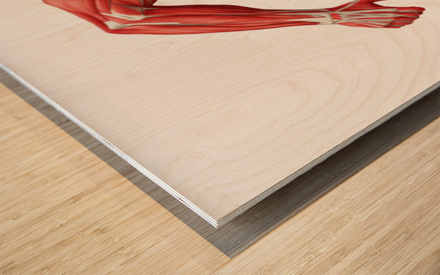 2465589 :: Wood Print