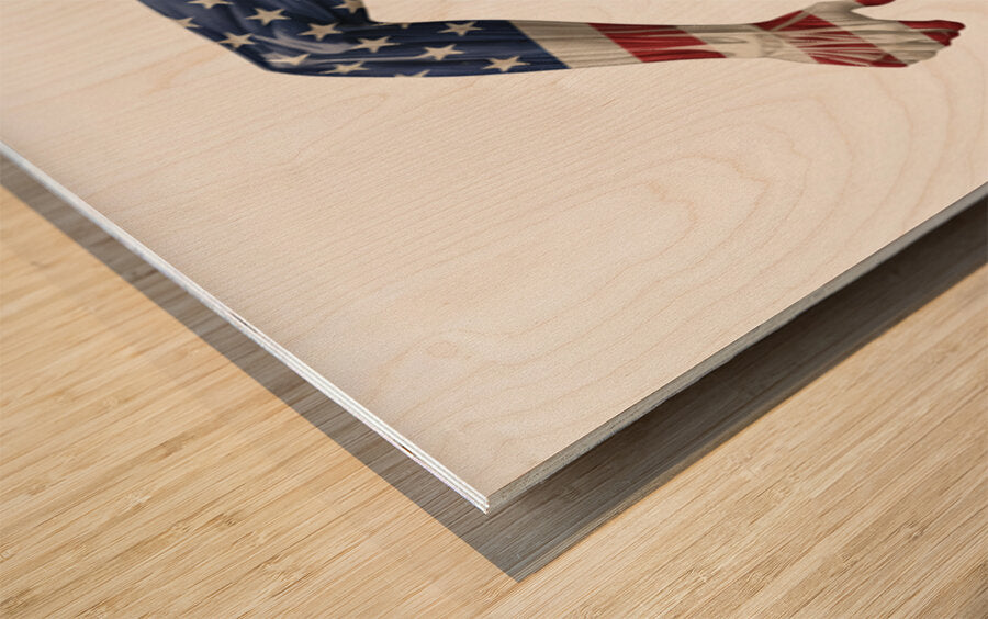 2465608 :: Wood Print