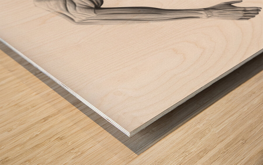 2465610 :: Wood Print