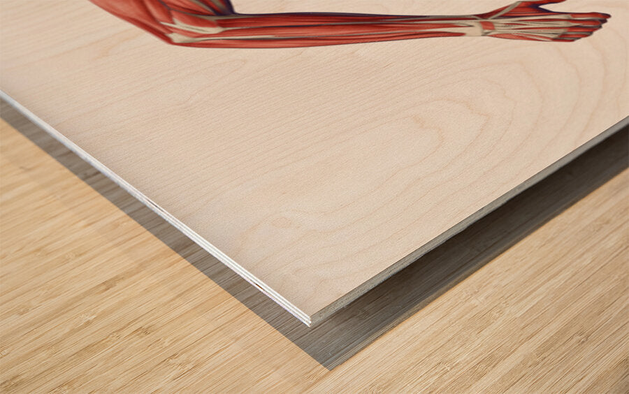 2465611 :: Wood Print