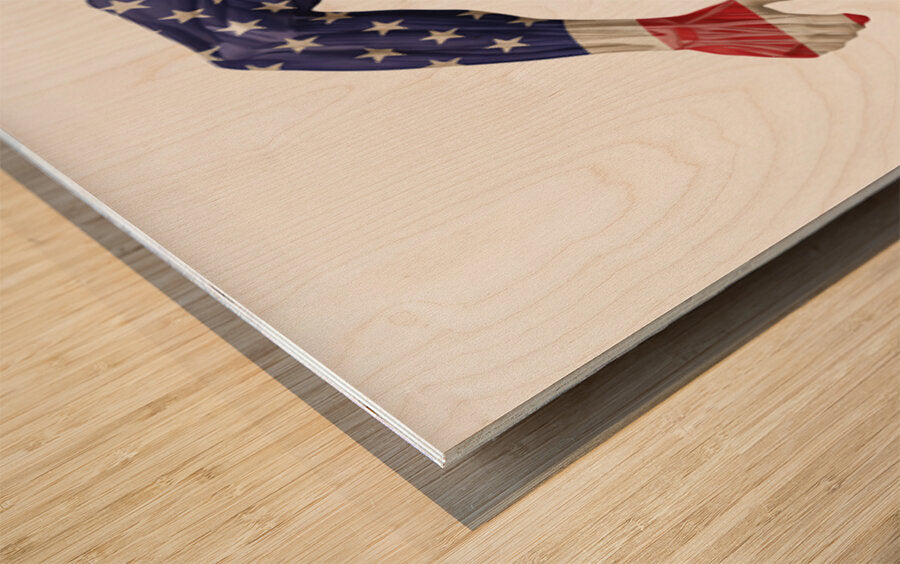 2465612 :: Wood Print