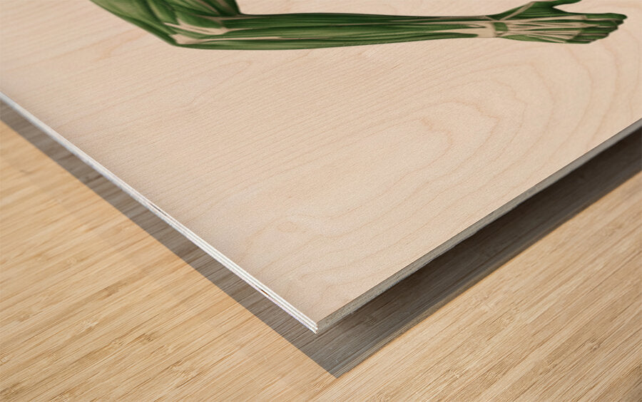 2465613 :: Wood Print