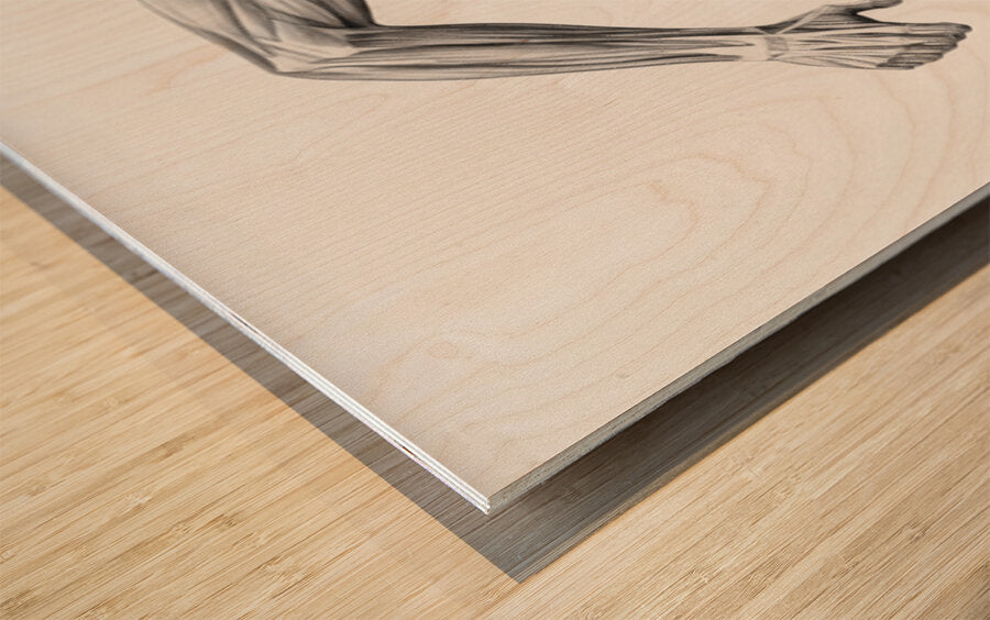 2466036 :: Wood Print
