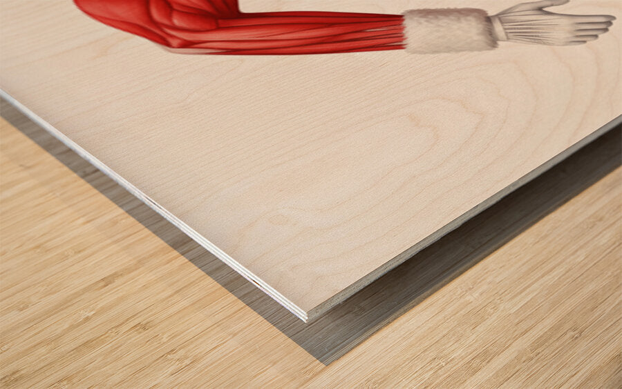 2466037 :: Wood Print