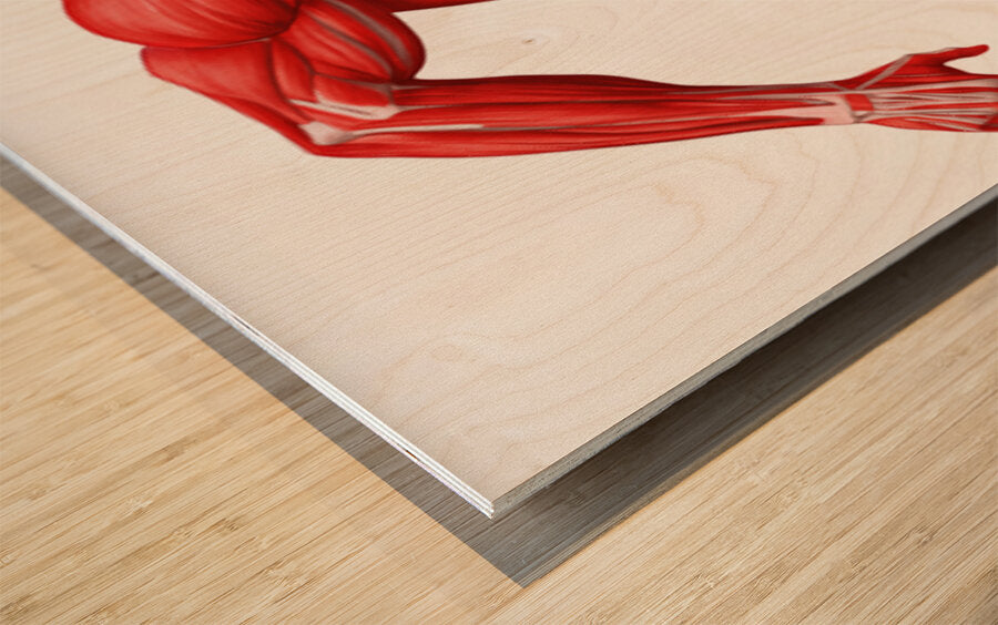 2466038 :: Wood Print