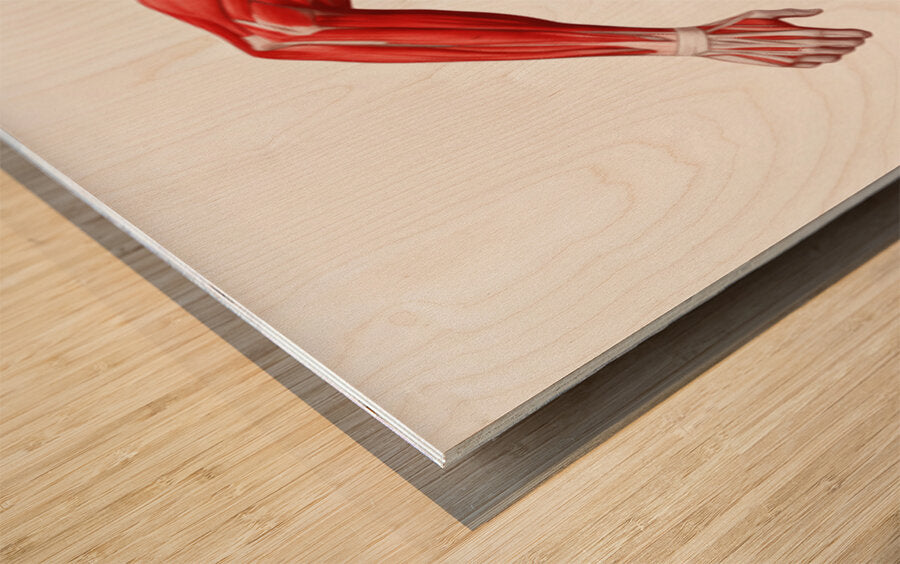 2466039 :: Wood Print
