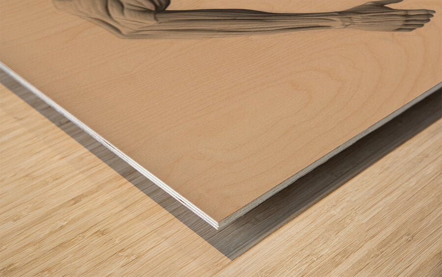 2466041 :: Wood Print