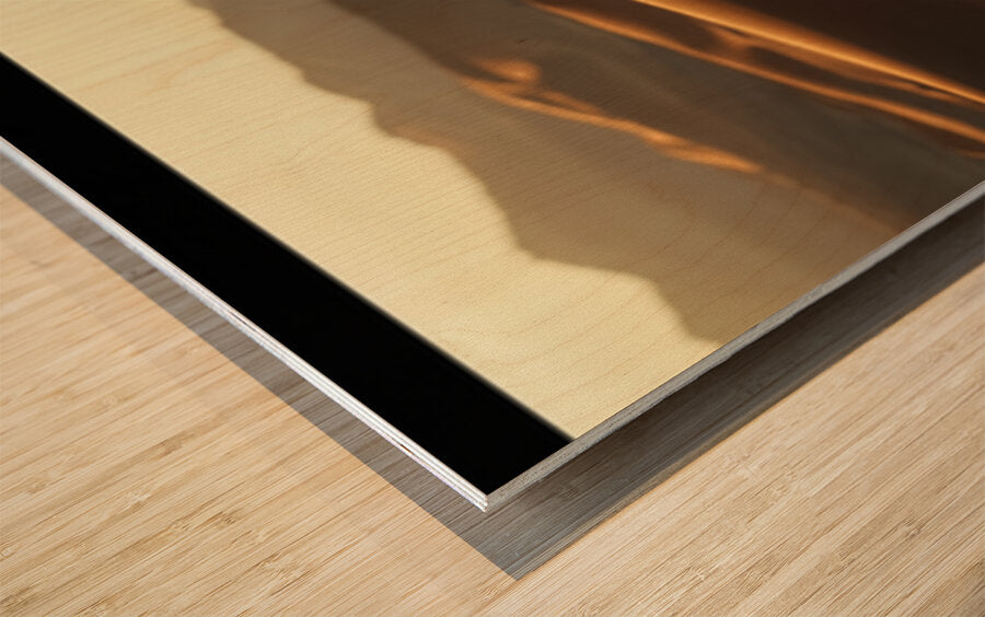 2468735 :: Wood Print