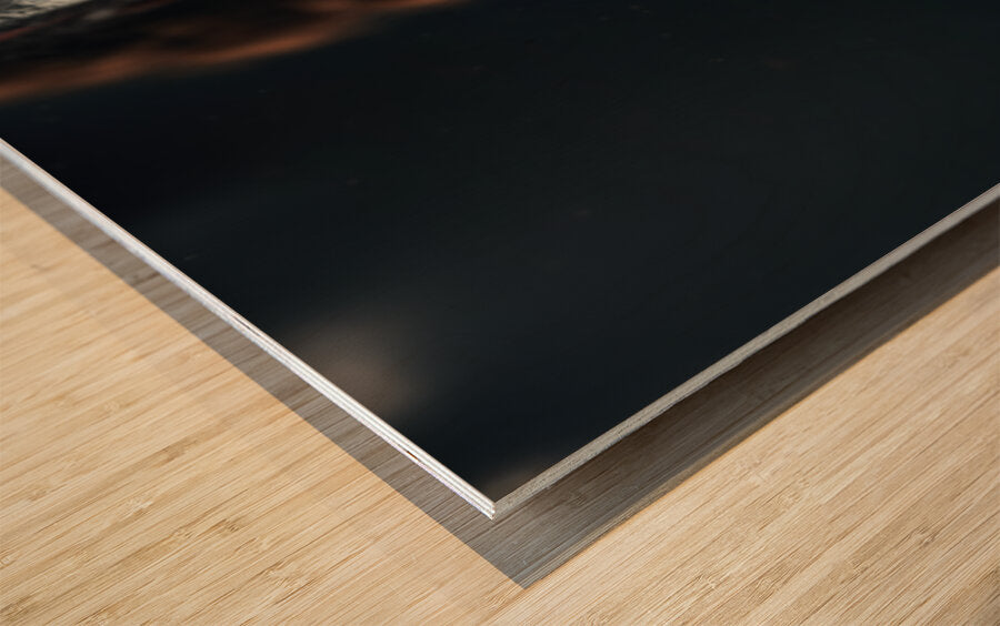 2468942 :: Wood Print
