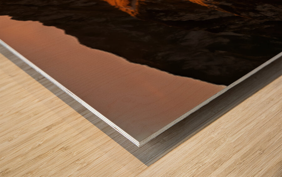 2469011 :: Wood Print