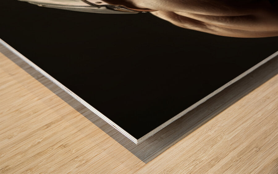 2471286 :: Wood Print