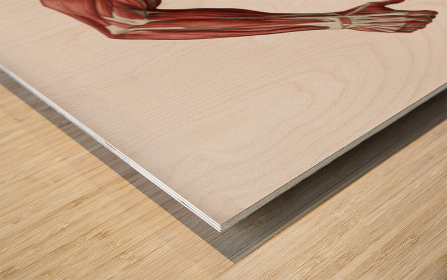 2471288 :: Wood Print