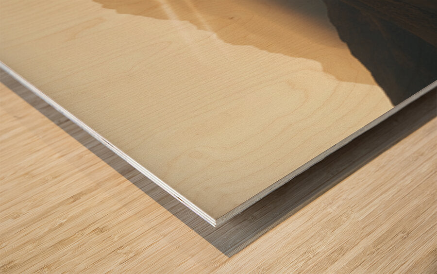 2471289 :: Wood Print