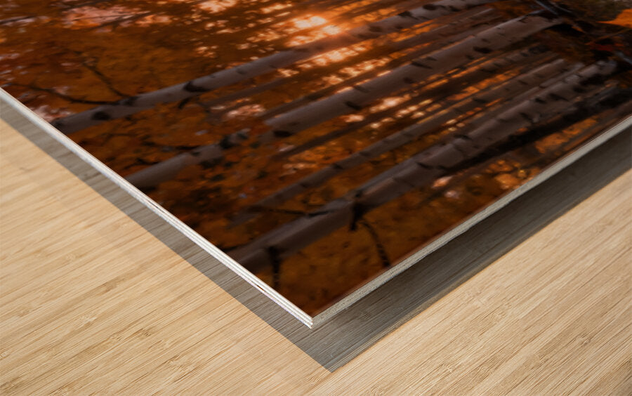 2471796 :: Wood Print