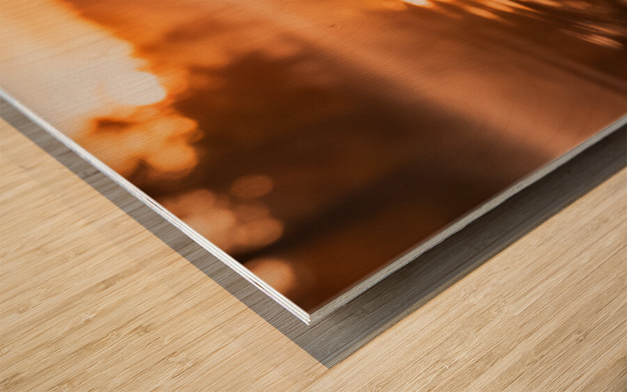 2472348 :: Wood Print