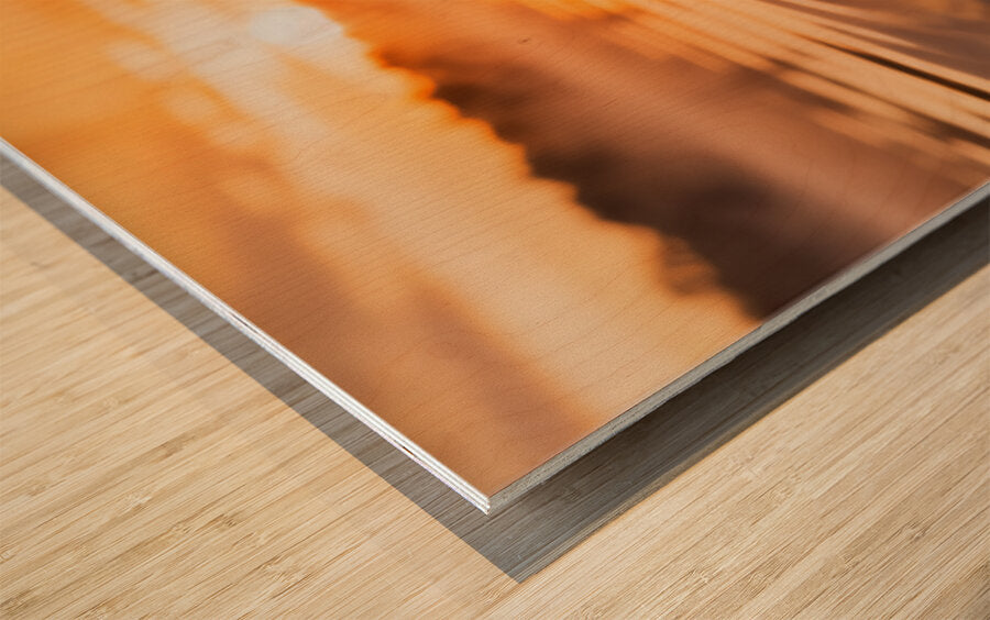 2472354 :: Wood Print