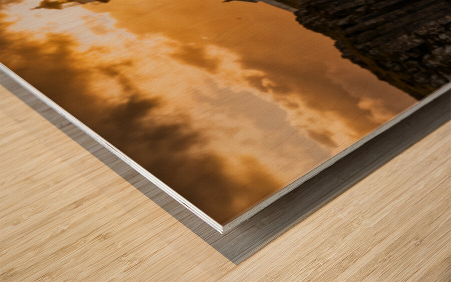 2472601 :: Wood Print