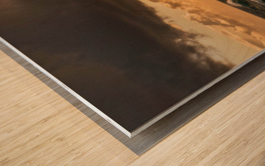 2472608 :: Wood Print