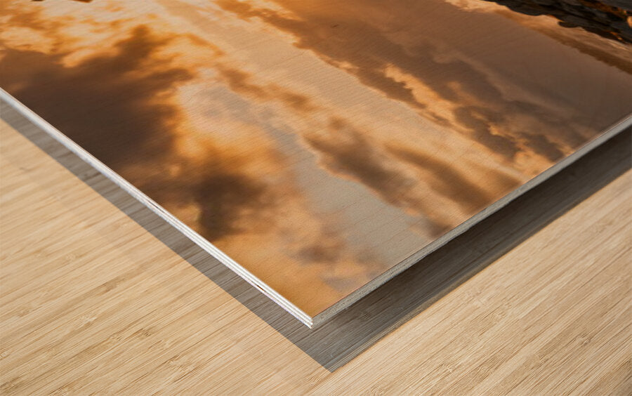 2472611 :: Wood Print