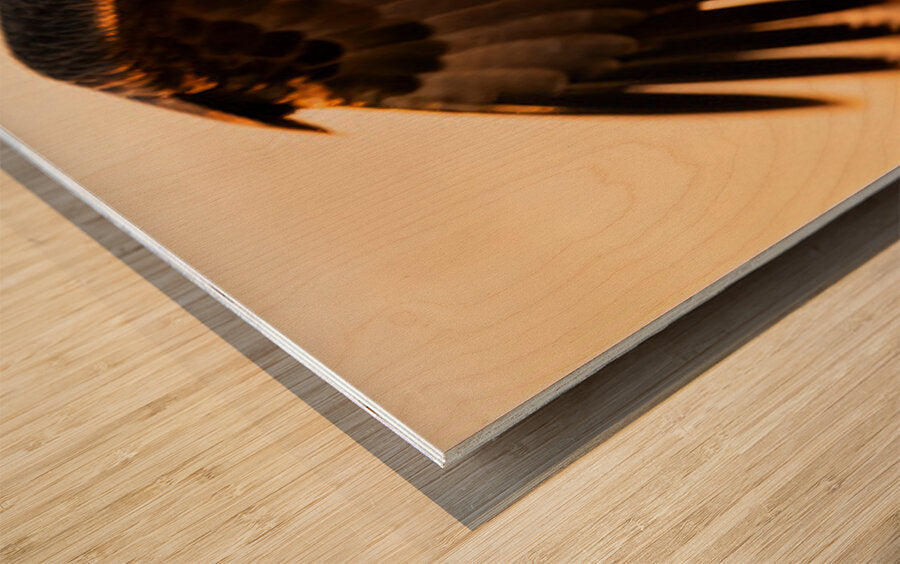2472616 :: Wood Print