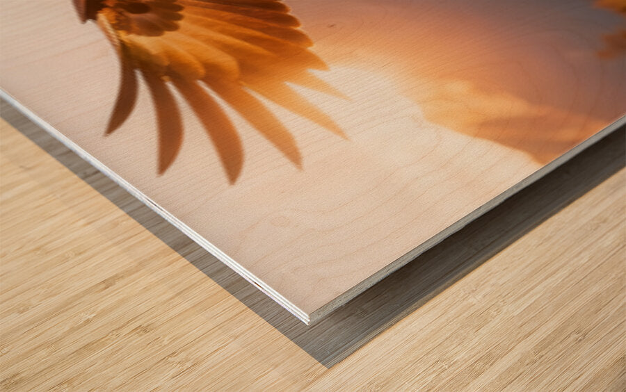 2473430 :: Wood Print
