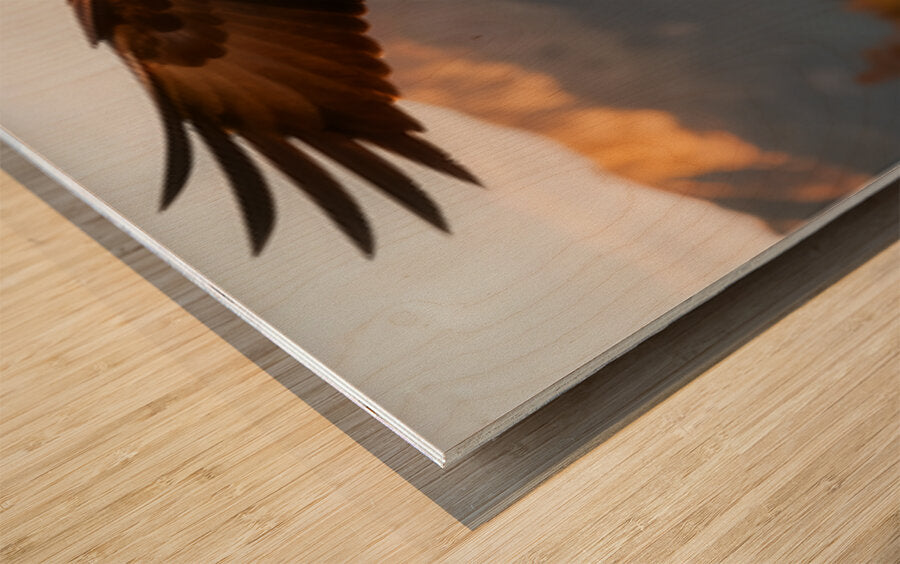 2473431 :: Wood Print