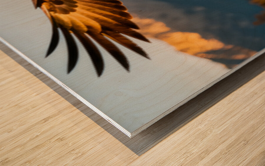 2473433 :: Wood Print