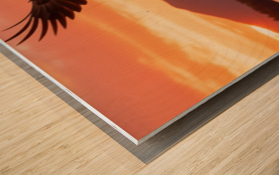 2473544 :: Wood Print