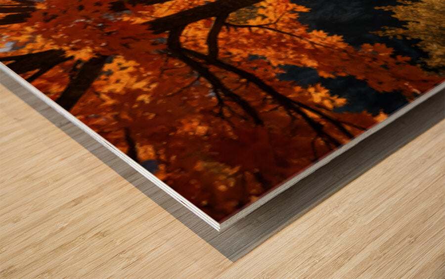2476107 :: Wood Print