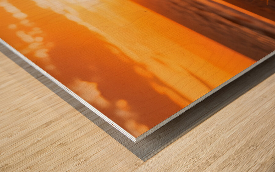 2476109 :: Wood Print
