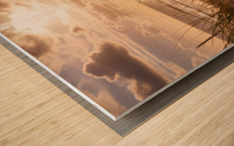 2476110 :: Wood Print