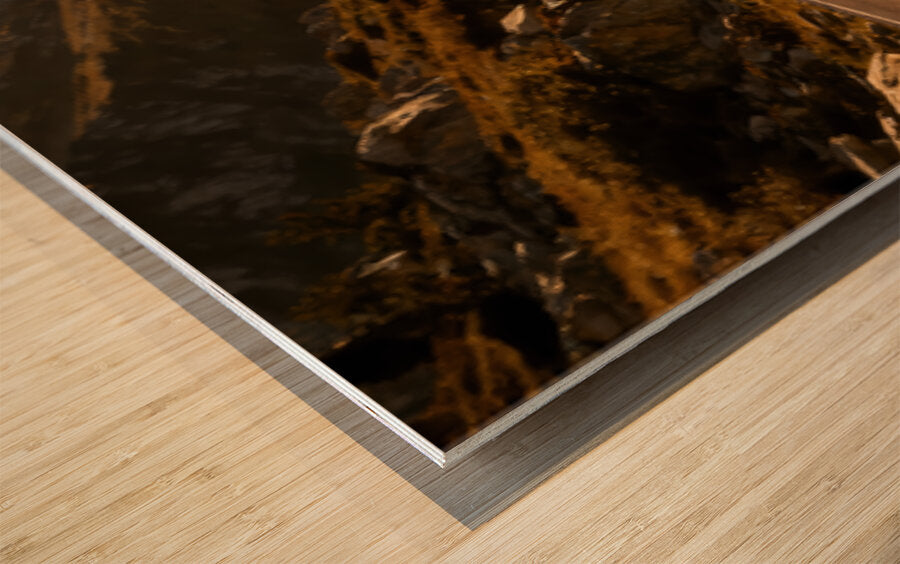 2476111 :: Wood Print