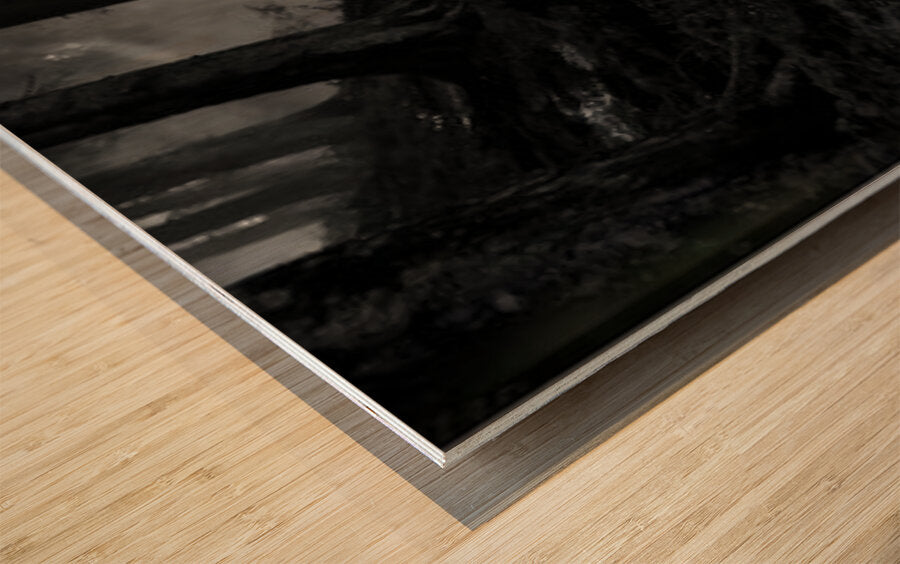 2479015 :: Wood Print